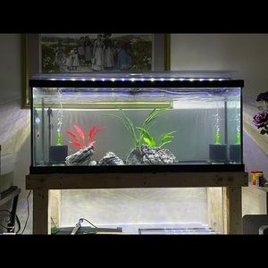 Meet your Posher, Dung